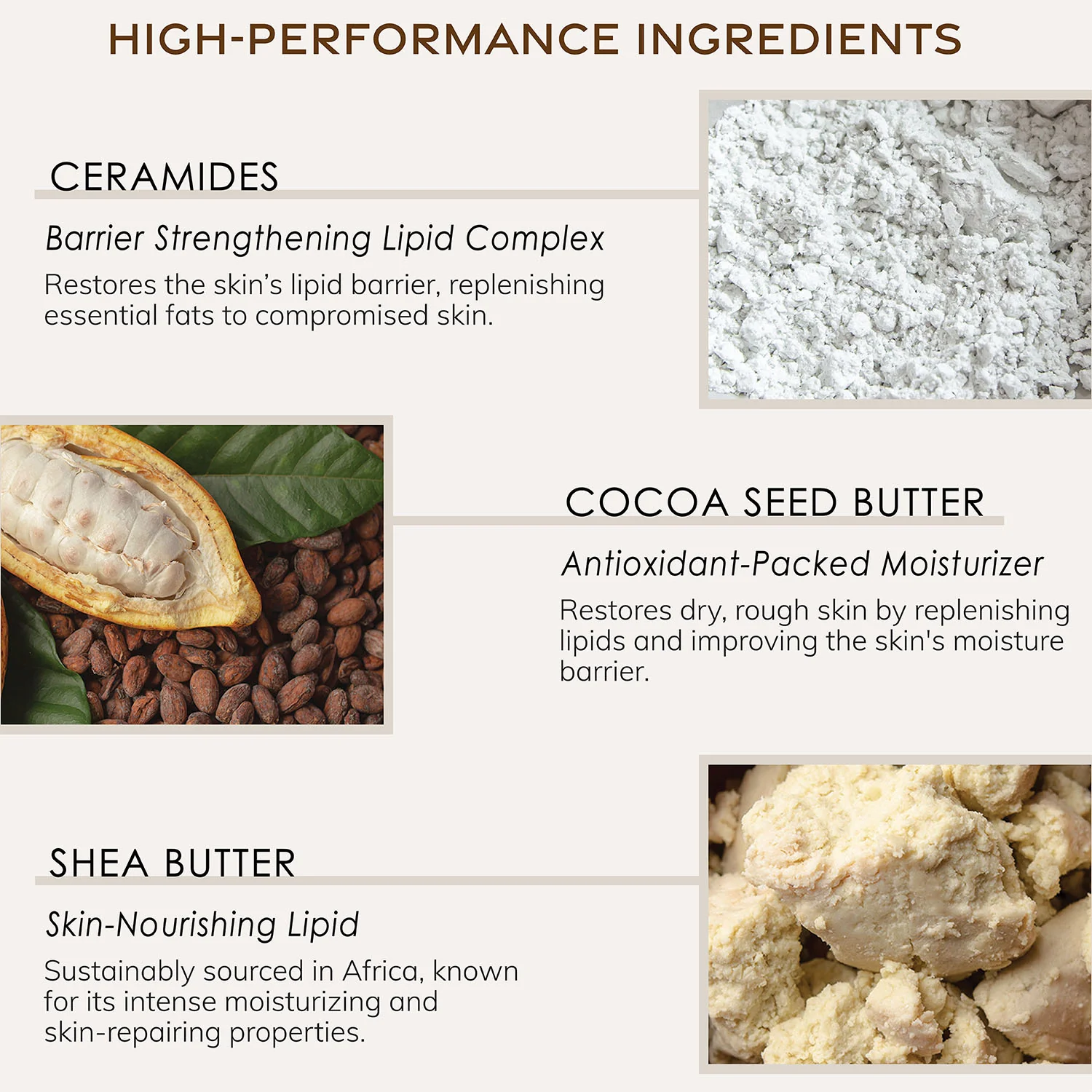 Grapefruit Bergamot Body Butter - Image 5